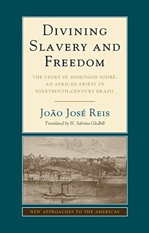 divining-slavery-and-freedom-the-story-of-domingos-sodr-an-african-priest-in-nineteenth-century-brazil-new-approaches-to-the-americas