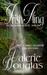 Irish Fling Book One of the Millersburg Quartet by Valerie Douglas