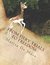 From Fiery Trials to Freedom by Marisa De More