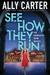 See How They Run (Embassy Row, #2) by Ally Carter