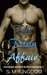 The Titan Affair Football Sports Romance Fiction Series (Book 2) by S. M. Kingdom