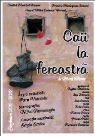 caii-la-fereastra