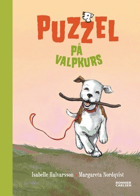 puzzel-p-valpkurs