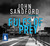 Rules of Prey (Lucas Davenport, #1) by John Sandford