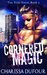 Cornered Magic (The Void, #1) by Charissa Dufour