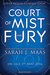 A Court of Mist and Fury (A Court of Thorns and Roses, #2) by Sarah J. Maas