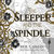 The Sleeper and the Spindle by Neil Gaiman