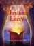 Christmas Lites V by Amy Eye