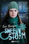 Sneeuwstorm