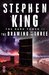 The Drawing of the Three (The Dark Tower, #2) by Stephen King
