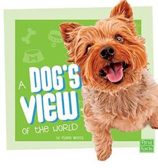 a-dog-s-view-of-the-world
