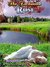 The Enchanted Rose A Beauty and the Beast & Sleeping Beauty Fairy Tale Retelling (Full Novel) by R.M. ArceJaeger