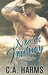 Noah's Journey (Sawyer Brothers, #3) by C.A. Harms