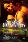 Storm Damaged cover