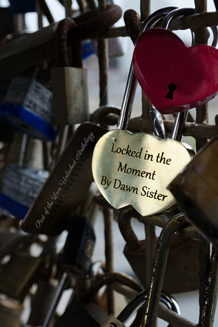 Book Cover Locked in the Moment Dawn Sister