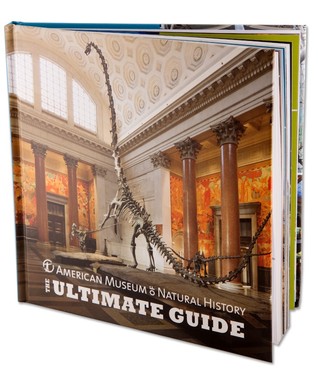 american-museum-of-natural-history-the-ultimate-guide