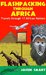 Flashpacking through Africa Travels through 17 African Nations by Jason Smart