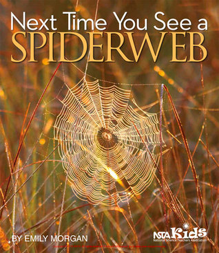 Next Time You See A Spiderweb By Emily Morgan 26717277