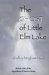 The Ghost of Little Elm Lake (The Apparitions of America Series Book 1) by Shelley Bingham Husk