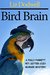 Bird Brain A Polly Parrett Pet-Sitter Cozy Murder Mystery (Polly Parrett Pet Sitter Cozy Murder Mysteries) by Liz Dodwell
