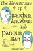 The Adventures of Brother Arcadius and Pangur Ban 11 Tales by Margaret Nagel