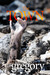 The Town by B.P. Gregory