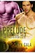 Prelude to Claimings, Tails, and Other Alien Artifacts (Claimings, #0.5) by Lyn Gala