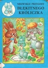 Niezwykłe przygody błękitnego króliczka