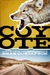 Coyote by Bran Gustafson