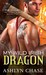 My Wild Irish Dragon (Boston Dragons, #2) by Ashlyn Chase