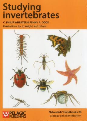 studying-invertebrates