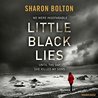 Little Black Lies cover