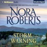 Storm Warning cover