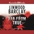 Far From True (Promise Falls Trilogy, #2) by Linwood Barclay