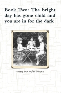 book-two-the-bright-day-has-gone-child-and-you-are-in-for-the-dark