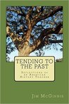 Tending to the Past: Reflections of an American History Teacher