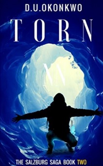 Torn by D.U. Okonkwo