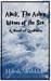 Alack the Ashen Waves of the Sea by Hibah Shabkhez