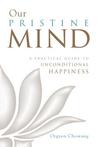Our Pristine Mind: A Practical Guide to Unconditional Happiness