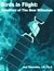 Birds in Flight Satellites of the New Millenium by Joel Thierstein