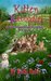 Kitten Kaboodle (Zoe Donovan Mystery Book 20) by Kathi Daley