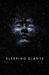 Sleeping Giants (Themis Files, #1) by Sylvain Neuvel