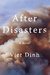 After Disasters by Viet Dinh