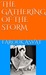 THE GATHERING OF THE STORM by Farouk Asvat