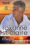 Barefoot at Sunset (Barefoot Bay Timeless, #1; Barefoot Bay Universe, #16)