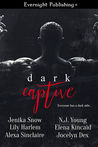 Dark Captive cover