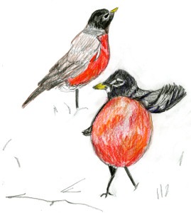 Libros en línea ebooks descargas gratuitas Bird-Watcher's Diary Entries: An Illustrated Chapbook Jane Beal