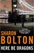 Here Be Dragons (Lacey Flint, #4.5) by Sharon J. Bolton