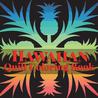 Hawaiian Quilt Coloring Book