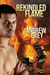 Rekindled Flame (Rekindled Flame, #1) by Andrew Grey